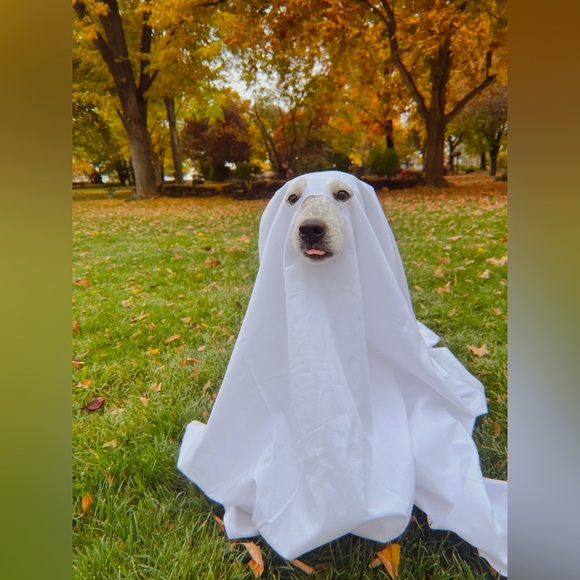 meet the posher / meet your posher / about the page / about the seller - Picture 7 of 8